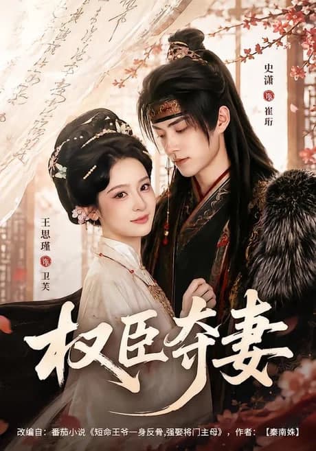 权臣夺妻海报