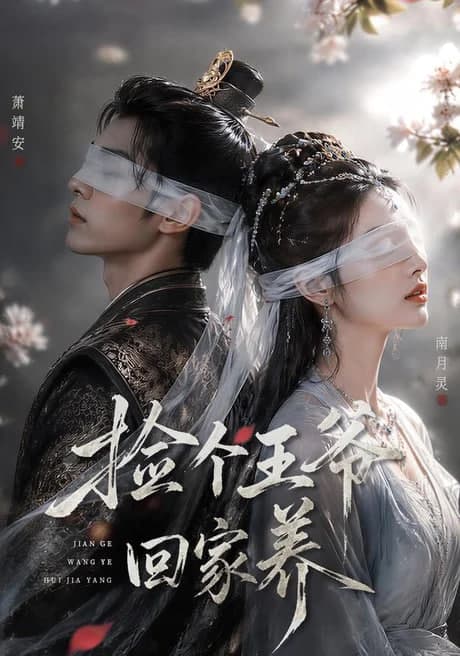 捡个王爷回家养海报