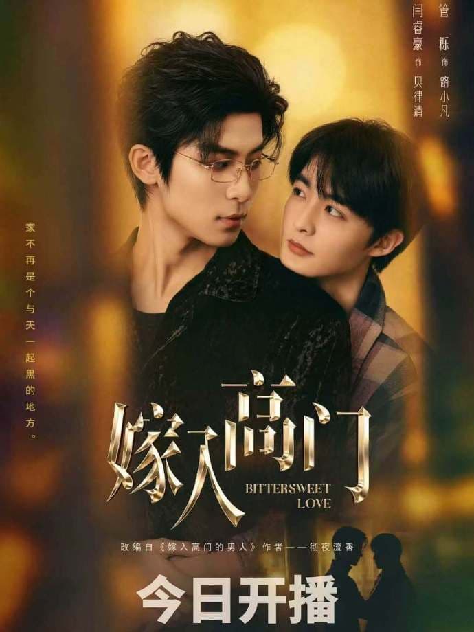 嫁入高门海报