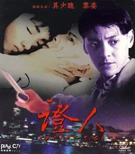 证人 (1993)海报