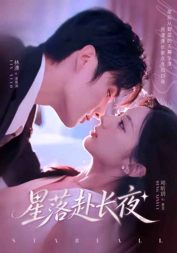 星落赴长夜海报