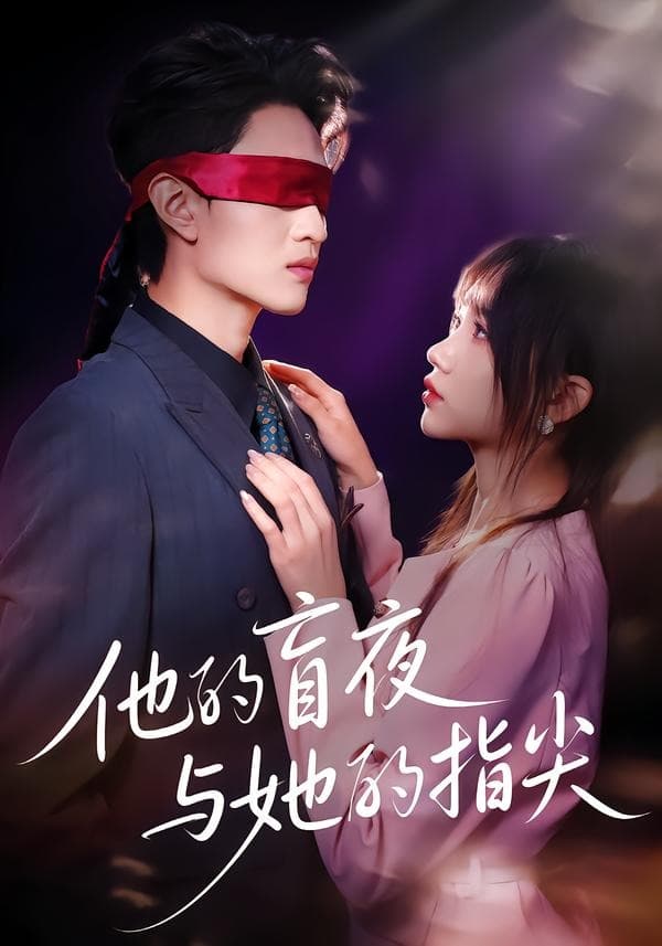 他的盲夜与她的指尖海报