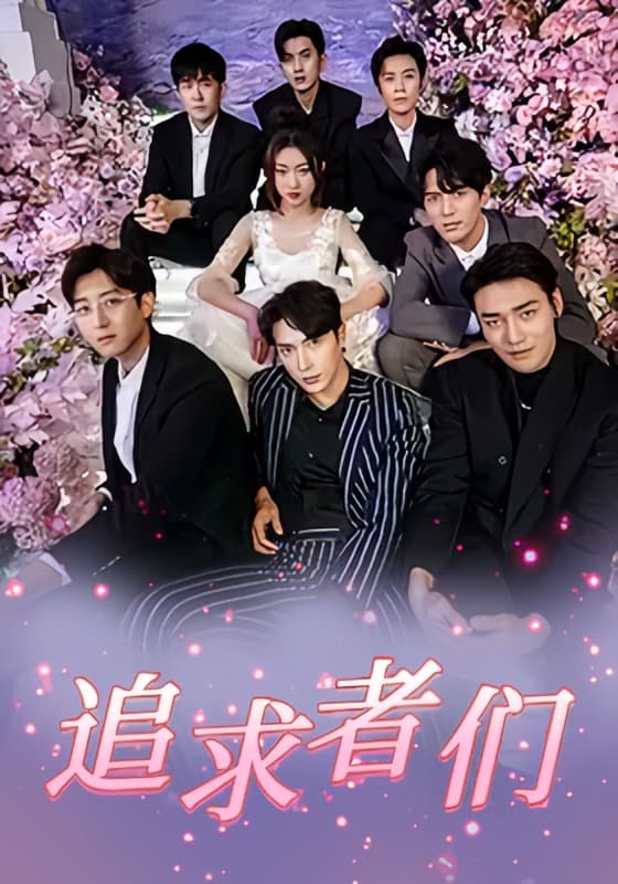 追求者们海报