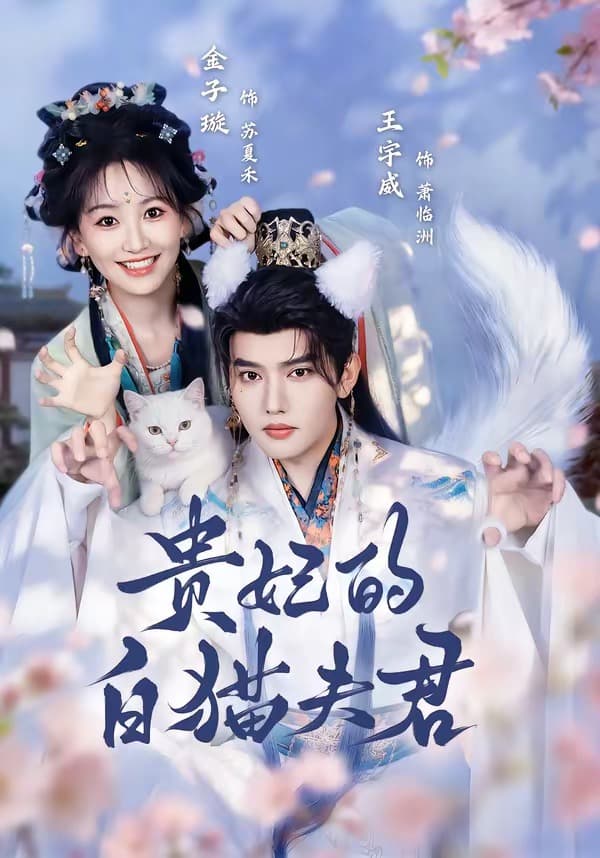 贵妃的白猫夫君海报