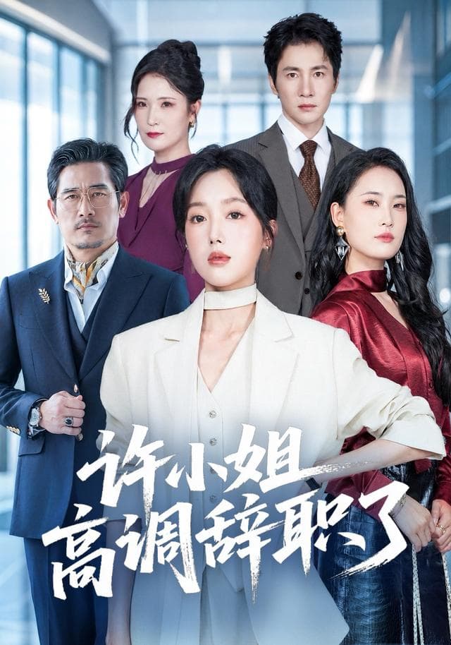 许小姐高调辞职了海报