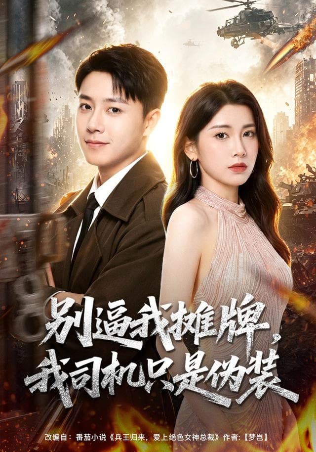 别逼我摊牌，我司机只是伪装海报