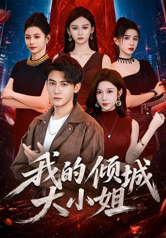 我的倾城大小姐海报