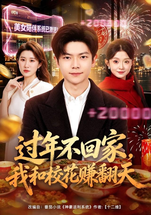 过年不回家，我和校花赚翻天海报