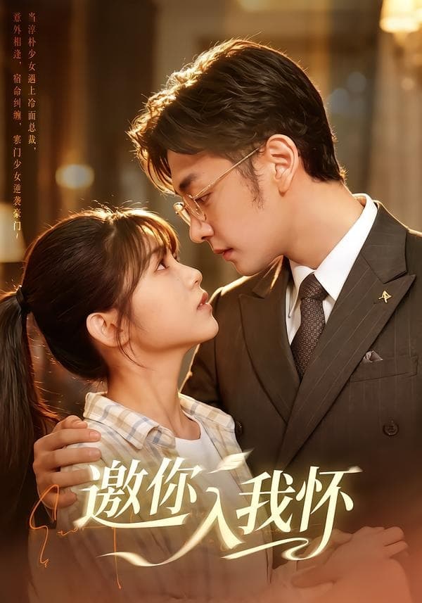 邀你入我怀海报