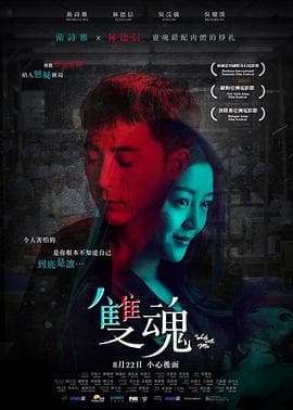 双魂国语海报