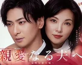 致亲爱的丈夫~完美妻子的谎言~海报