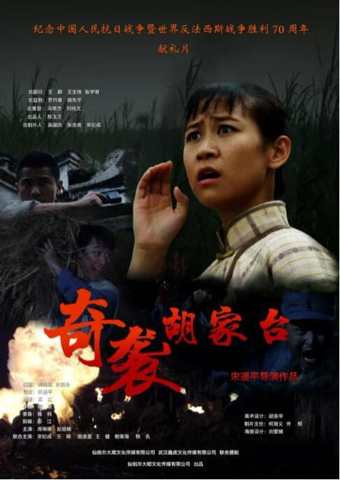 奇袭胡家台海报