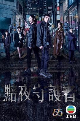 暗夜守护者（国语版）海报