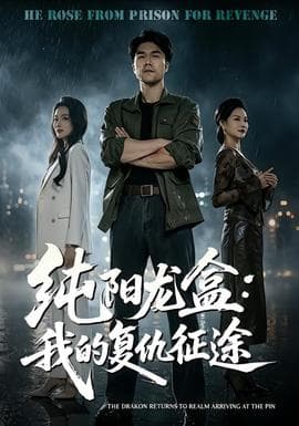 纯阳龙盒：我的复仇征途海报