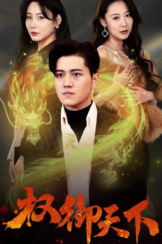权御天下海报