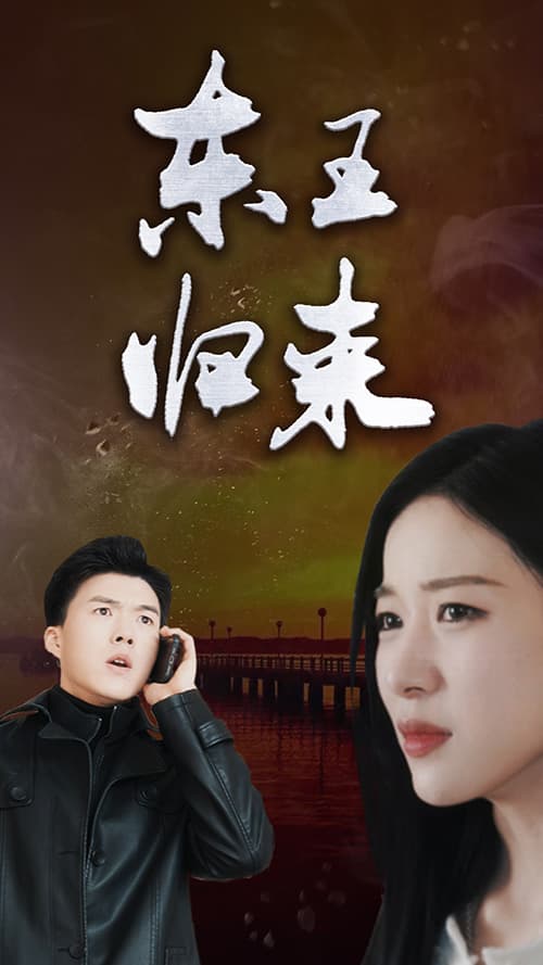 东王归来海报