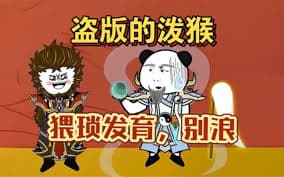 盗版的打野猴子海报