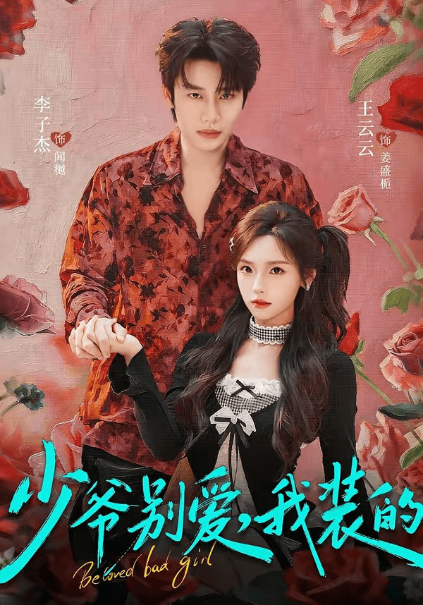 少爷别爱，我装的海报
