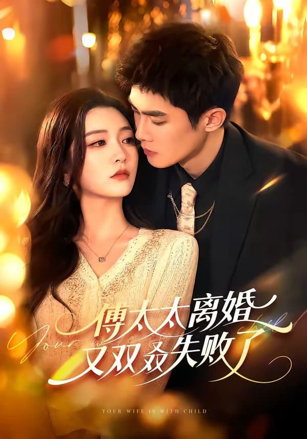 傅太太离婚又双叒失败了海报