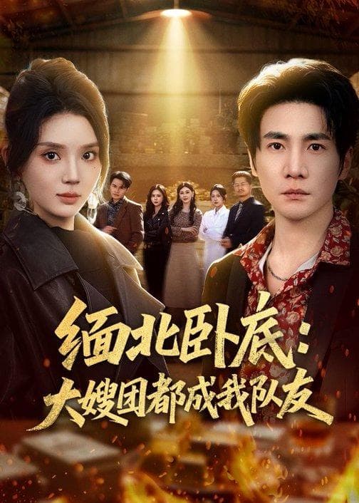 缅北卧底：大嫂团都成我队友海报