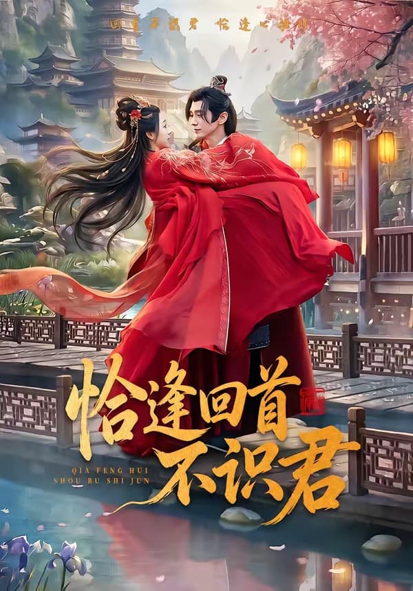 恰逢回首不识君海报