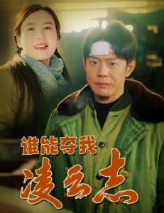 谁能夺我凌云志海报