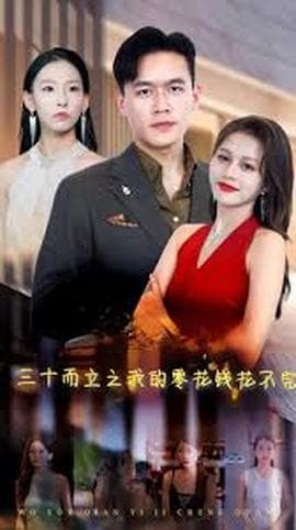 三十而立海报