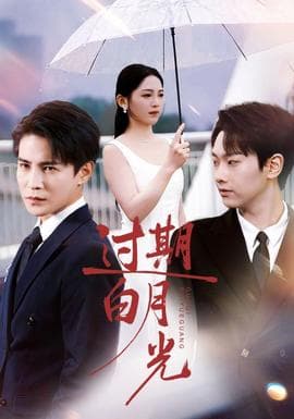 过期白月光海报