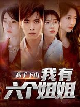 高手下山我有六个姐姐海报
