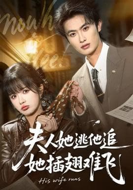 夫人她逃他追，她插翅难飞海报
