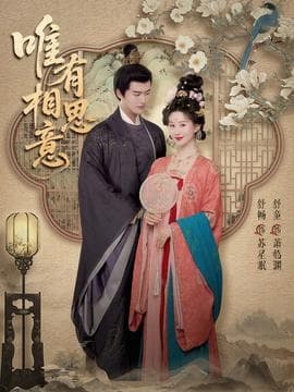 唯有相思意海报