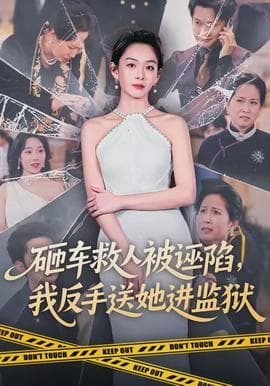 砸车救人被诬陷，我反手送她进监狱海报
