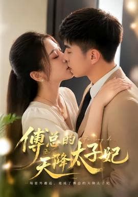 傅总的天降太子妃海报