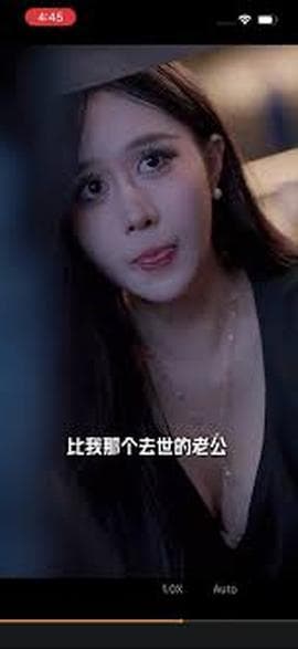 我和姨妈一家的故事海报