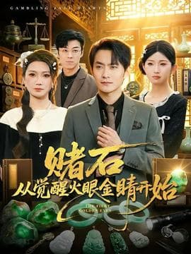 赌石从觉醒火眼金睛开始海报