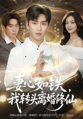 妻心如铁我转头离婚修仙海报