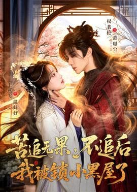 苦追无果，不追后我被锁小黑屋了海报