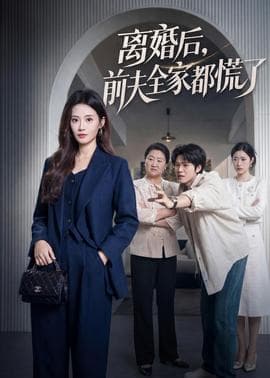 离婚后，前夫全家都慌了海报