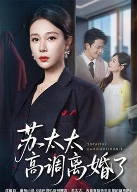 苏太太高调离婚了海报