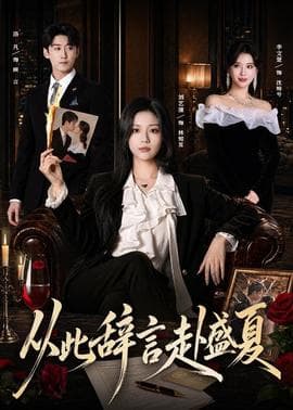 从此辞言赴盛夏海报