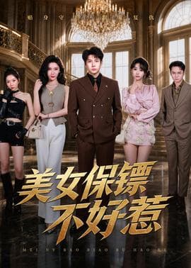 美女保镖不好惹海报