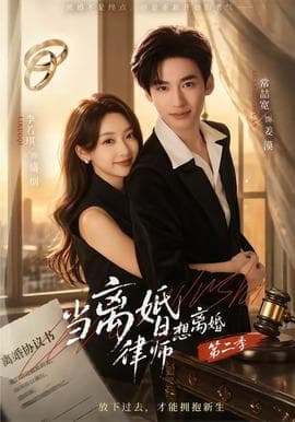 当离婚律师想离婚第二季海报