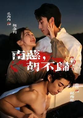 南慈，胡不归海报