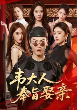 韦大人奉旨娶亲海报