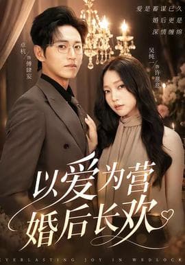 以爱为营婚后长欢海报