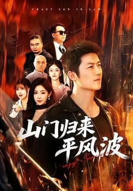 山门归来平风波海报