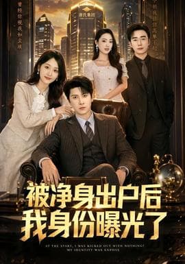 被净身出户后我身份曝光了海报