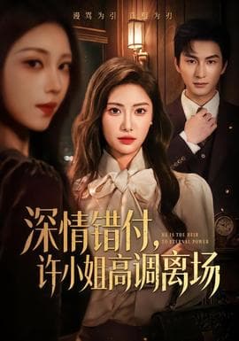 深情错付，许小姐高调离场海报