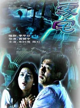 雾宅1994海报