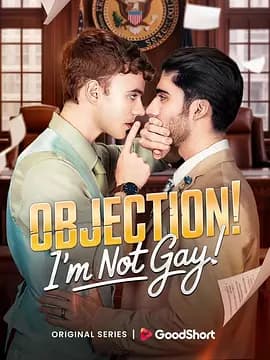 反对！我不是GAY海报